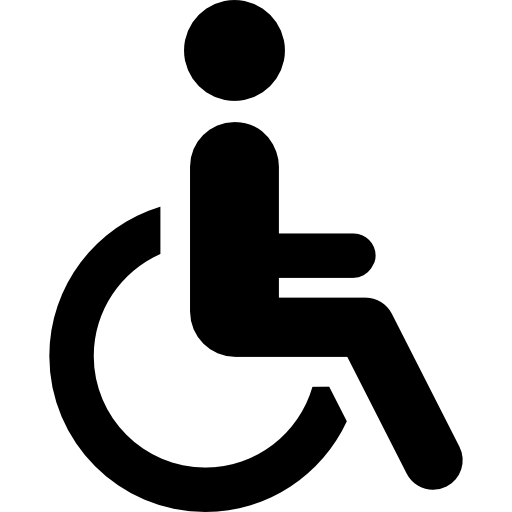 disabled-passenger